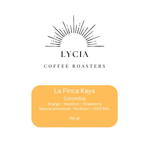 Coffee 4